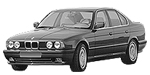 BMW E34 P110F Fault Code
